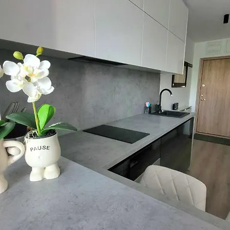 Apartament Silence Of The Sea Kłajpeda Zewnętrze zdjęcie